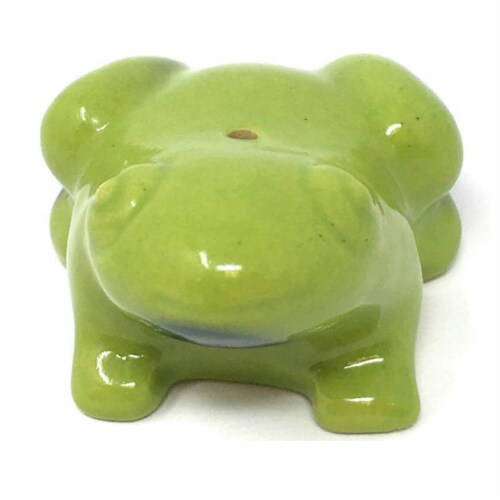Maroma Incense Holder, Frog Perspective: front