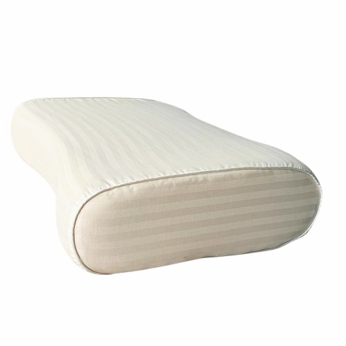 Dr Pillow Rayon From Bamboo Memory Foam Pillows, Standard - Kroger