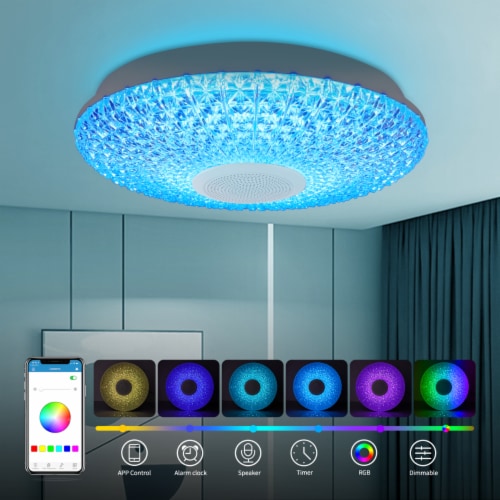 36W 5W Snowflake Bluetooth Music Ceiling Light Connection European