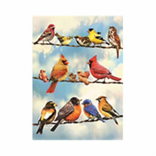 Outset Media Games OM58888 Blue Sky Birds Puzzle Tray, 35 Piece Perspective: front