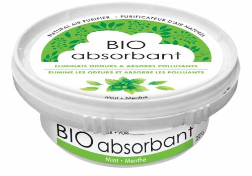Attitude Bio Absorbant Mint Natural Air Purifier Perspective: front