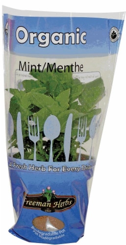Freeman Herbs Organic Mint Potted Perspective: front