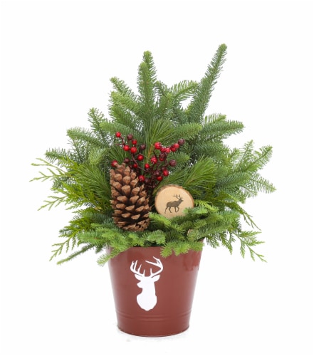 BLOOM HAUS™ Christmas Greenery in Blue Tin Planter Perspective: front