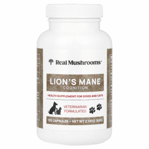 Real Mushrooms Lion