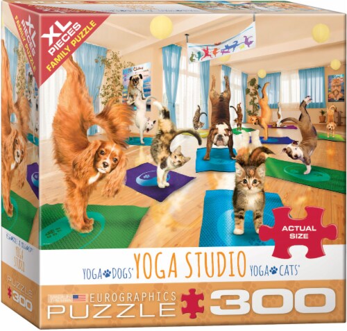 Eurographics Puzzles Yoga Studio Puzzle Perspective: front