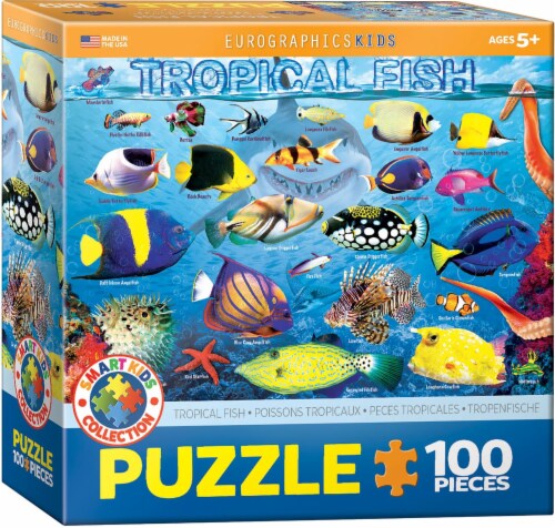 tropical fish shop online
