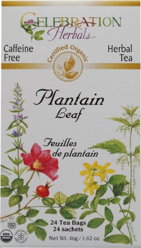 Celebration Herbals  Organic Plantain Leaf Tea Caffeine Free Perspective: front