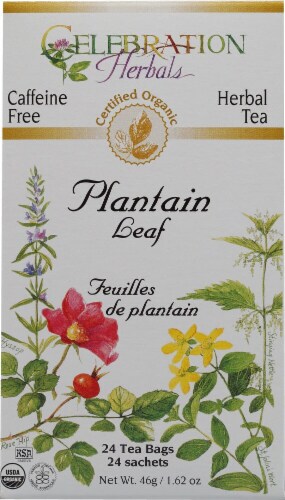 Celebration Herbals  Organic Plantain Leaf Tea Caffeine Free Perspective: front