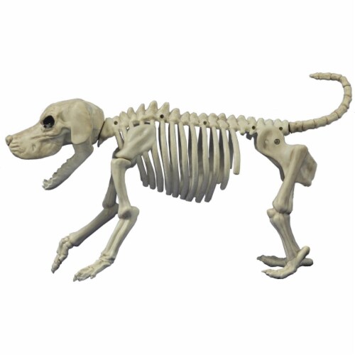 Morris Costumes SE18131 Beagle Bonez Costume Perspective: front