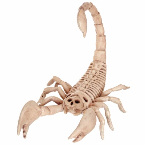 Seasons Mini Skeleton Scorpion Perspective: front