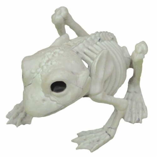 Seasons Frog Skeleton Decoration Perspective: front