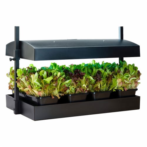 SunBlaster SL1600220 T5HO Grow Light Garden with 2 Strip Lights T5 Reflectors 1 Piece Gerbes Super Markets
