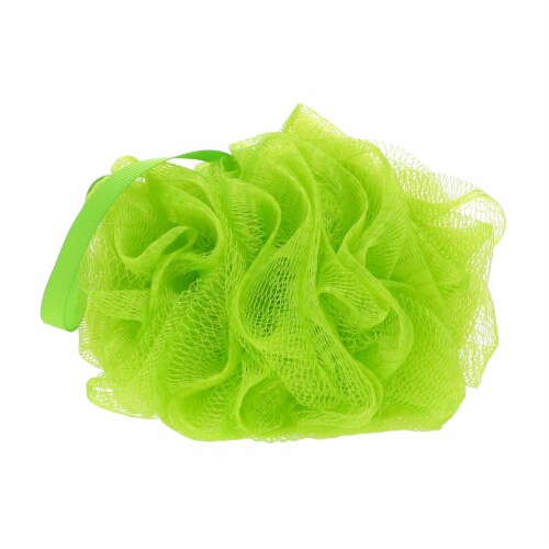 Nikki Secret Organic Mesh Bath and Shower Sponge - Sea Foam/Sage Green Perspective: front