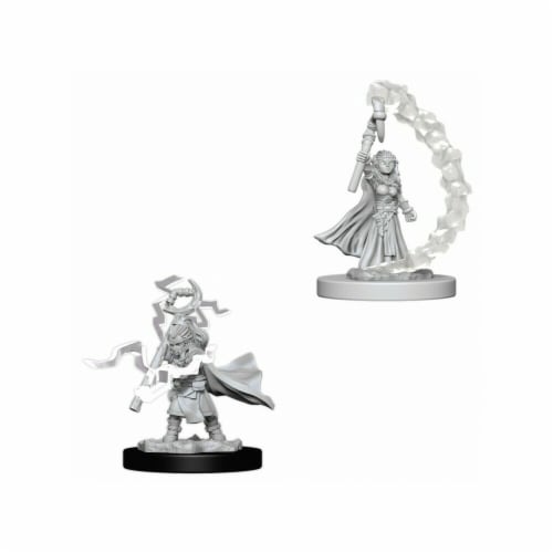 WizKids WZK73345 Pathfinder Deep Cuts Gnome Female Sorcerer W5 Miniature Perspective: front