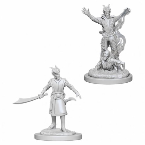 Wizkids Wzk733 Male Tiefling Warlock W6 Dungeons Dragons Nolzurs Marvelous Miniatures 1 King Soopers