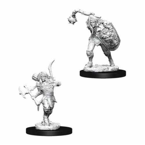 WizKids WZK73409 Male Elf Fighter W6 Pathfinder Deep Cuts Miniatures Perspective: front