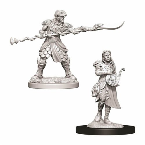 WizKids WZK73716 Dungeons & Dragons Nolzurs Marvelous Yaun Ti Purebloods W9 Miniature Perspective: front