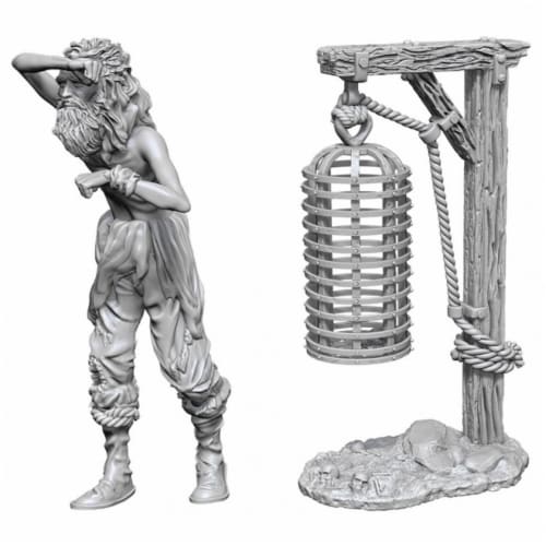 WizKids WZK73874 Deep Cuts-Hanging Cage W10 Miniature Perspective: front