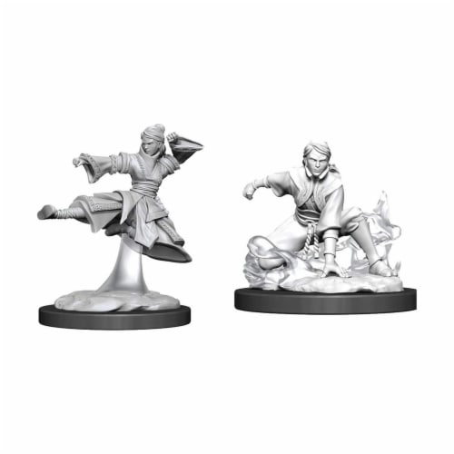 WizKids WZK90008 Dungeons & Dragons Nolzurs Marvelous Unpainted Female Human Monk W11 Miniatu Perspective: front