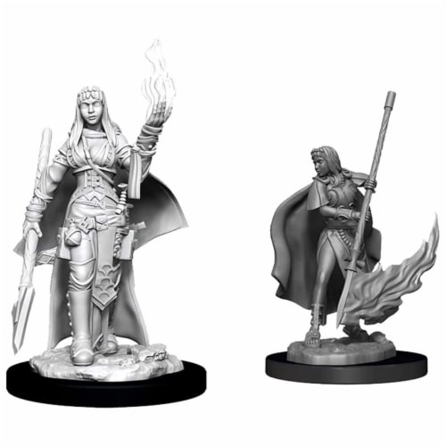 WizKids WZK90044 Pathfinder Deep Cuts & Female Human Oracle W11 Miniature Perspective: front