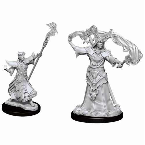 WizKids WZK90052 Pathfinder Deep Cuts & Male Human Sorcerer W11 Miniature Perspective: front