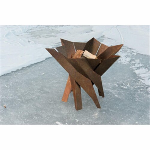Curonian Q4-WIAW-NTQ7 Wood Burning Fire Pit Phoenix Blossom Stainless Steel Perspective: front