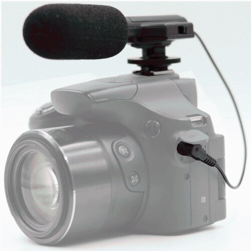 panasonic camcorder with external mic input