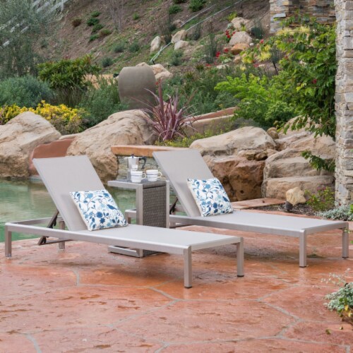 Dark gray shop chaise lounge