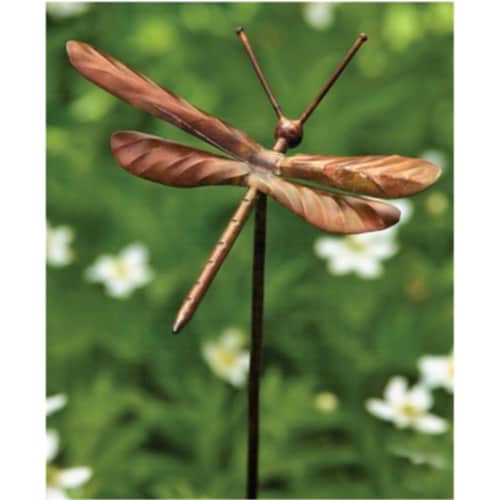 Ancient Graffiti Dragonfly Garden Ornament Perspective: front