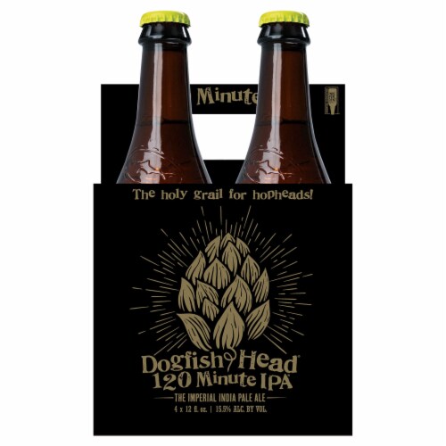 Dogfish Head 120 Min India Pale Ale Perspective: front