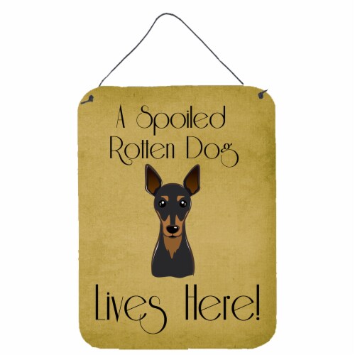 Carolines Treasures BB1488DS1216 Min Pin Spoiled Dog Lives Here Wall or ...