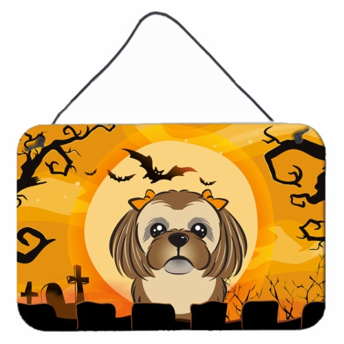 Chocolate orange hot sale shih tzu