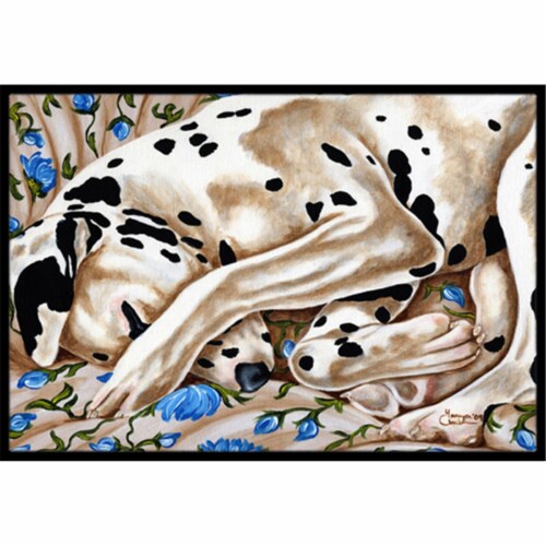 Carolines Treasures AMB1407MAT Bed of Roses Dalmatian Doormat 18x27 Perspective: front