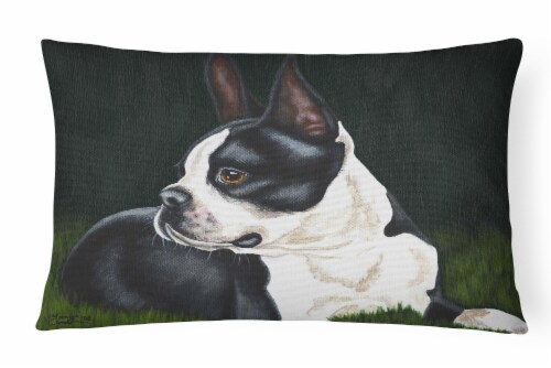 Carolines Treasures AMB1321PW1216 Boston Terrier Beauty Canvas Fabric Decorativ Perspective: front