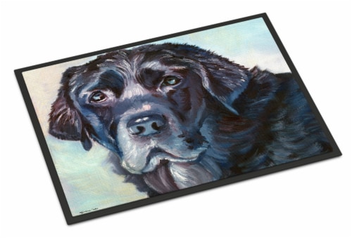 Carolines Treasures 7419JMAT Black Labrador Face Doormat 24x36
