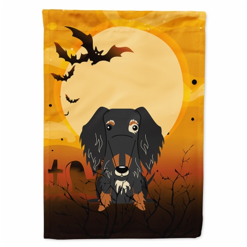 Halloween Wire Haired Dachshund Dapple Flag Canvas House Size Perspective: front