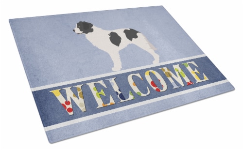 Carolines Treasures BB8331LCB Landseer Welcome Glass Cutting Board Large, Blue Perspective: front