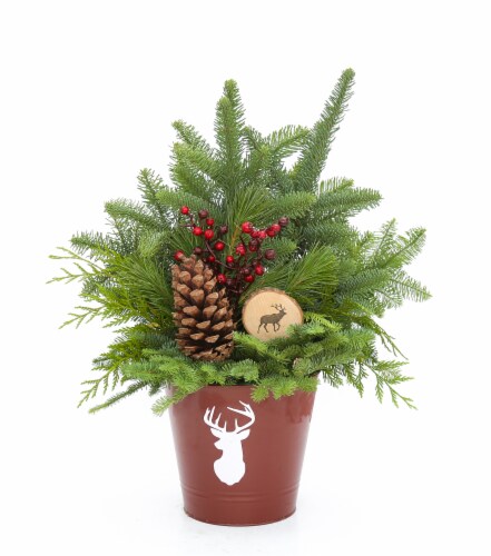 Bloom Haus Christmas Greenery in Small Red Tin Planter Perspective: front