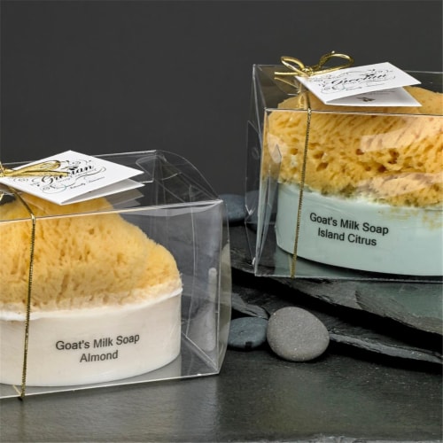 Gracian Goats Milk SS-03 Goats Milk Soap with Sponge - Cucumber melon, 5 oz Perspective: front