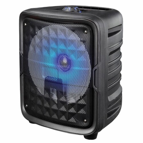 IQ Sound IQ6608DJBT Black 8Inch True Wireless Bluetooth Speaker with