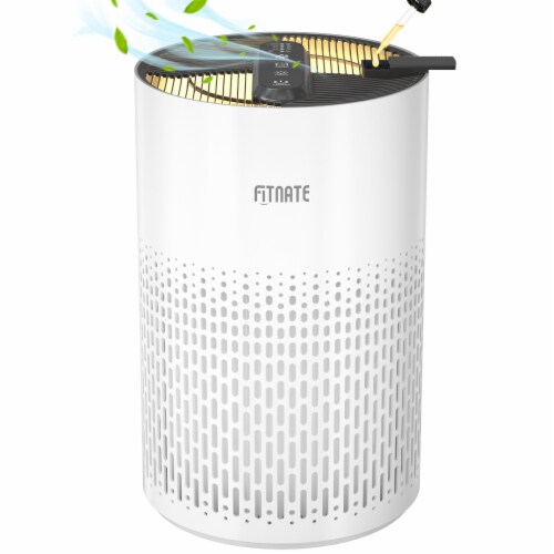 FITNATE Air Purifier with True HEPA Filter for Home 1 PC Fry s Food Stores