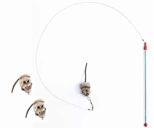 Go cat teaser wand online