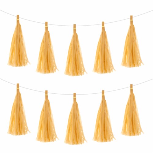 MECCANIXITY 20pcs Tassel Garland Banner with Rope for Wedding Birthday Party Decoration OS King Soopers