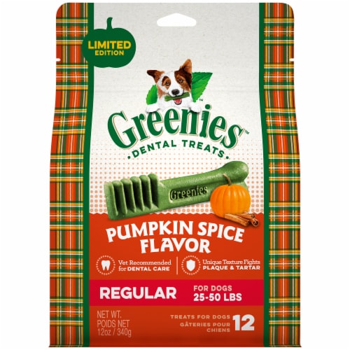 Greenies™ Pumpkin Spice Petite Dental Dog Treats Perspective: front