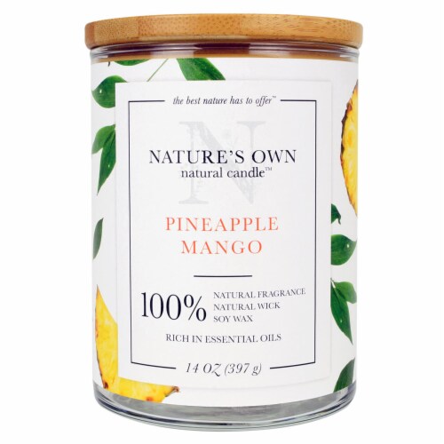 Nature's Own Pineapple Mango Soy Wax Candle Perspective: front