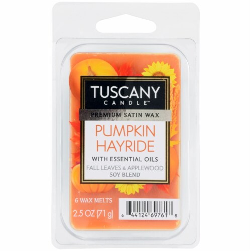 Tuscany Candle Pumpkin Hayride Wax Melts Perspective: front