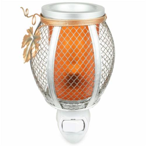 Tuscany Mesh Pumpkin Outlet Wax Warmer Perspective: front