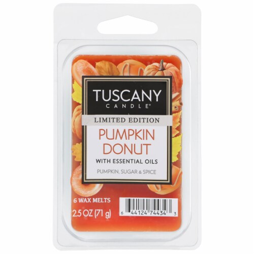 Tuscany Pumpkin Donut Wax Melts - Fall Collection Perspective: front
