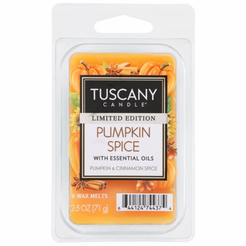 Tuscany Pumpkin Spice Wax Melts - Fall Collection Perspective: front