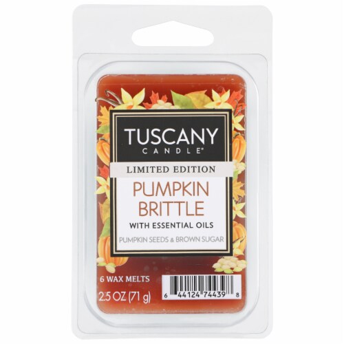 Tuscany Pumpkin Brittle Wax Melts - Fall Collection Perspective: front